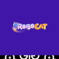 RoboCat