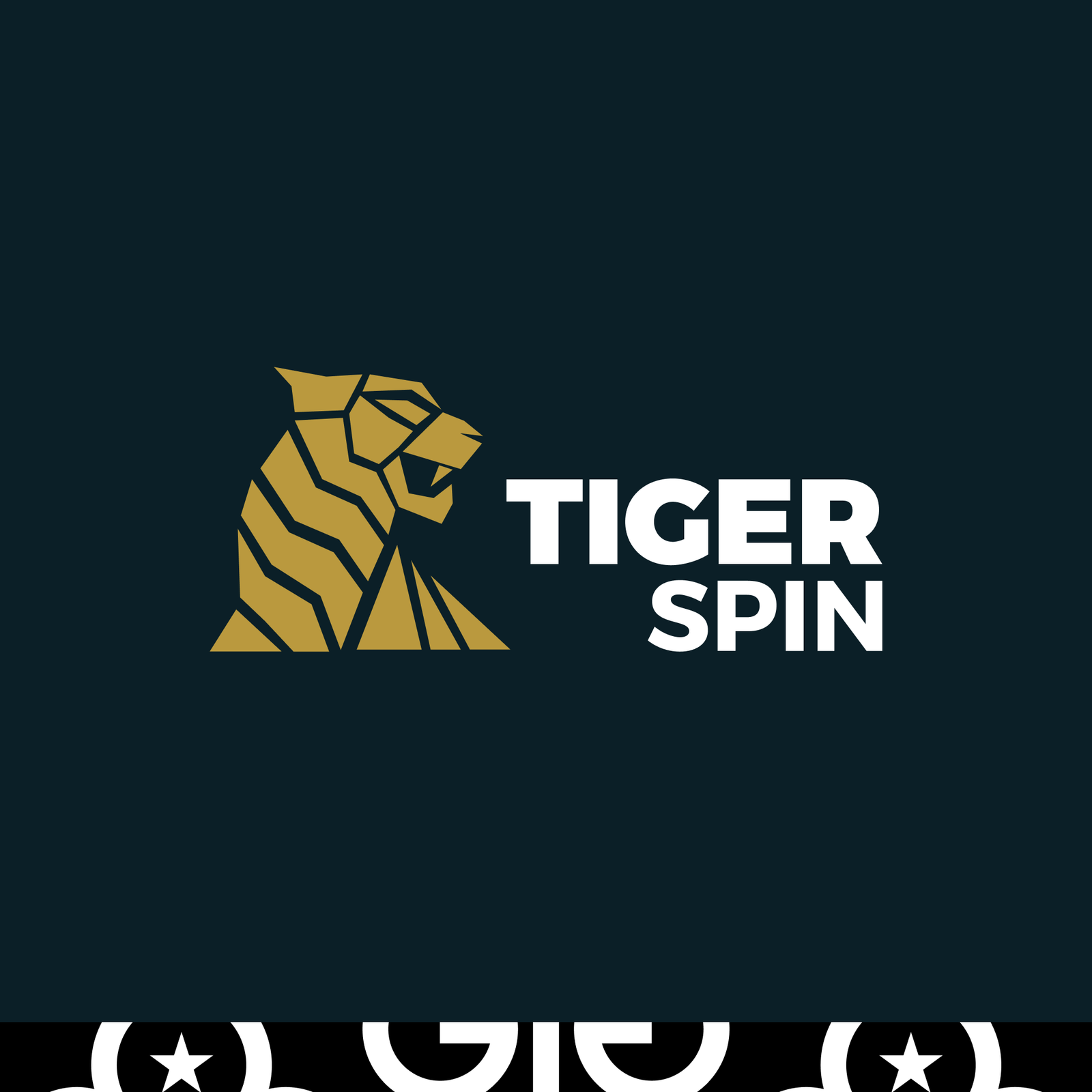 TigerSpin Casino Erfahrungen